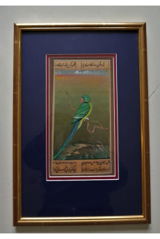Bird persian painting