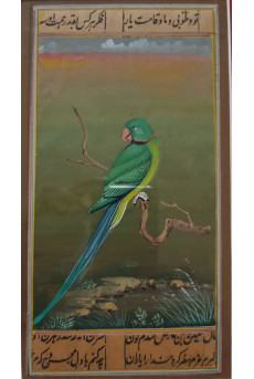 Bird persian painting